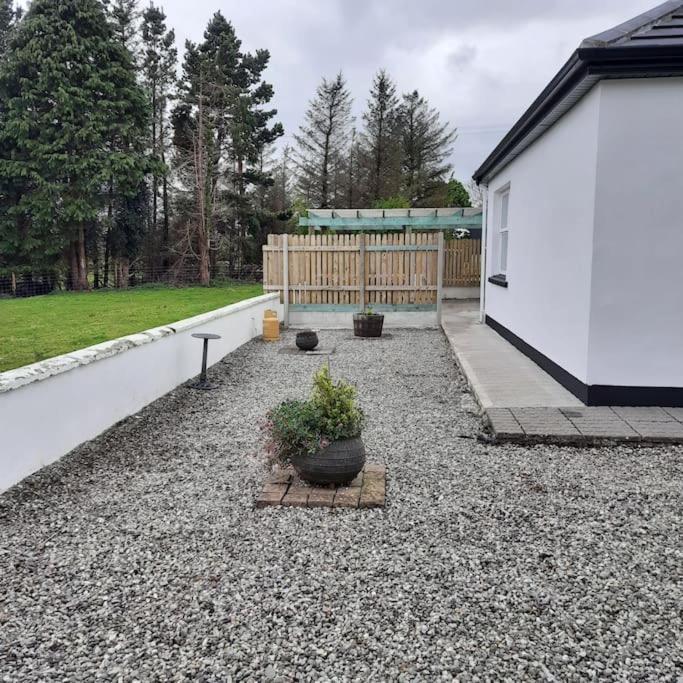 Cheerful Three Bedroom Country Cottage Ballina  Exteriör bild